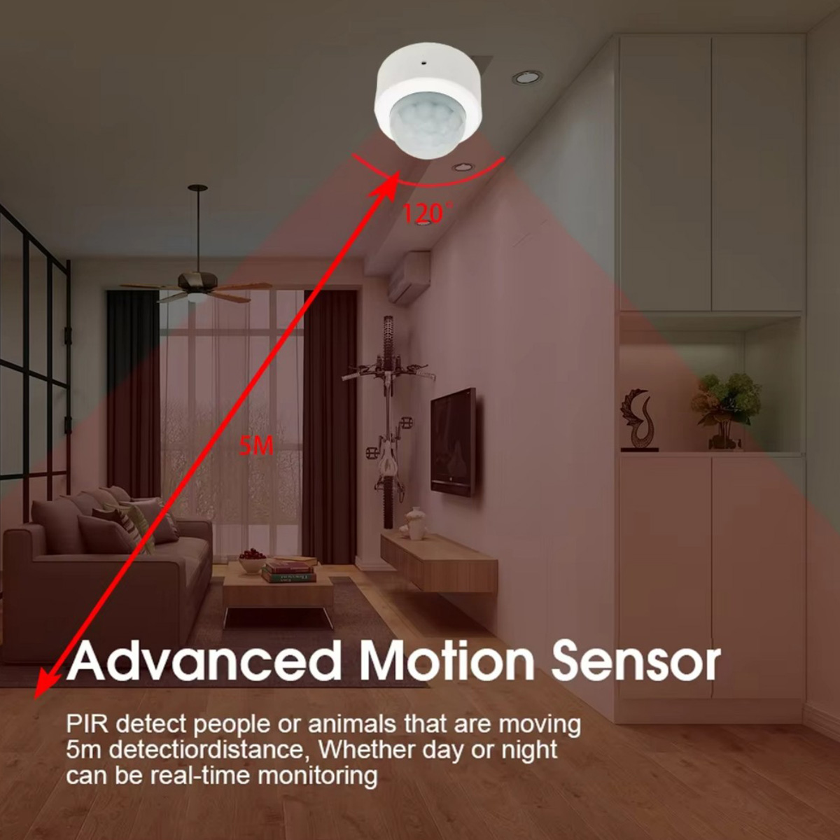 Zigbee PIR Motion Sensor Human - Home Security Tools 评论和价格
