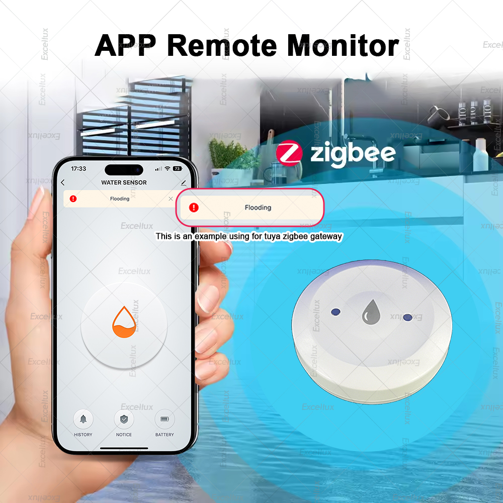 Zigbee Water Detector Leakage  - Home Security Tools 评论和价格