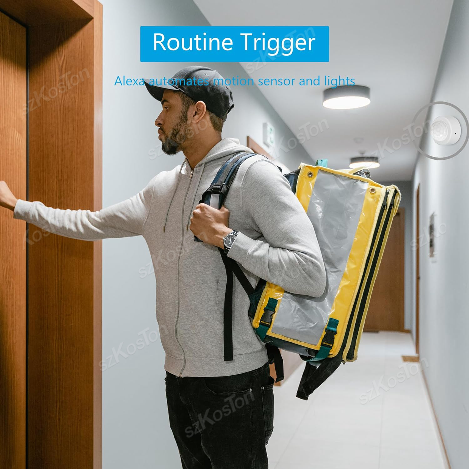 eWelink APP Zigbee Motion Sens - Home Security Tools 评论和价格