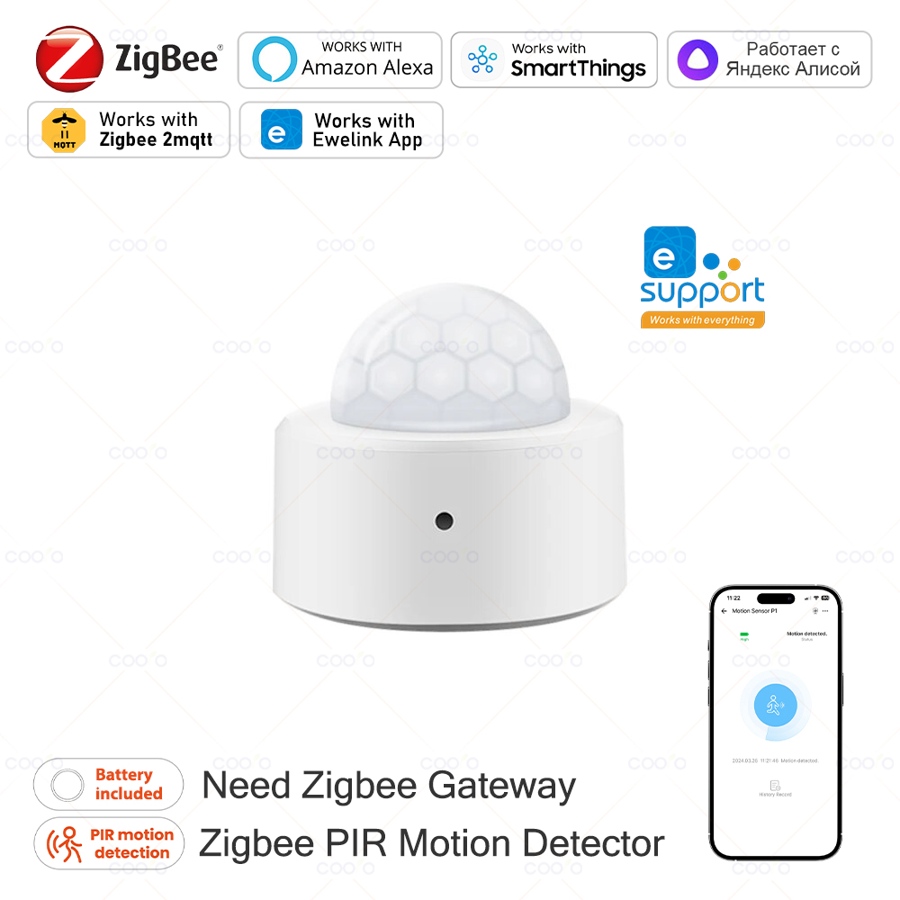 Zigbee Mini PIR Motion Sensor  - Home Security Tools 评论和价格