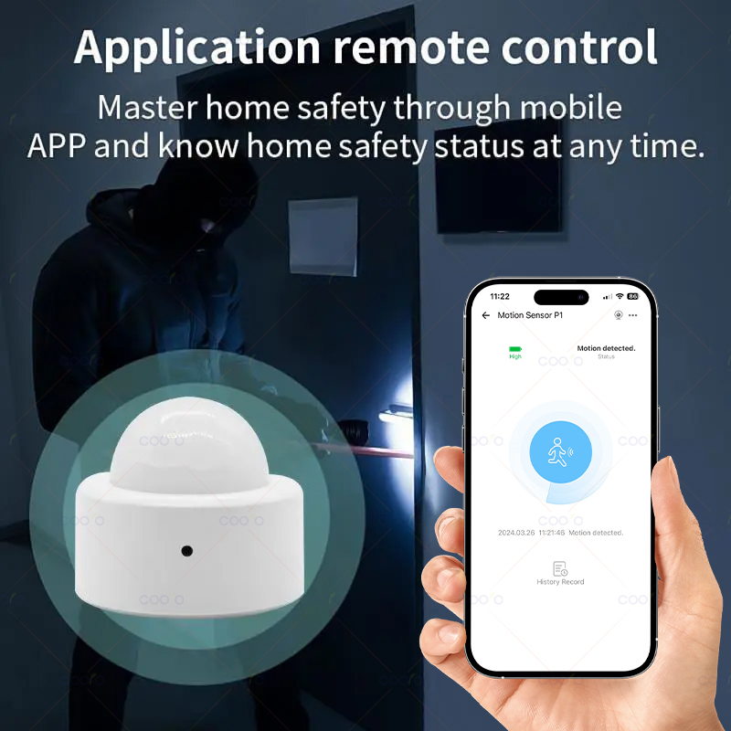 Zigbee Mini PIR Motion Sensor  - Home Security Tools 评论和价格