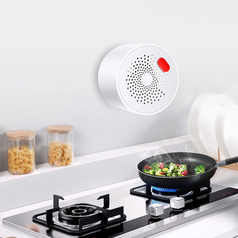 Tuya Smart Home Wifi Natural G - Home Security Tools 评论和价格