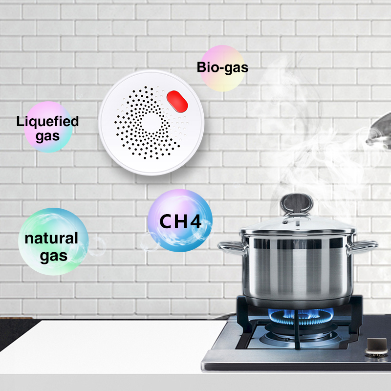 Tuya Smart Home Wifi Natural G - Home Security Tools 评论和价格