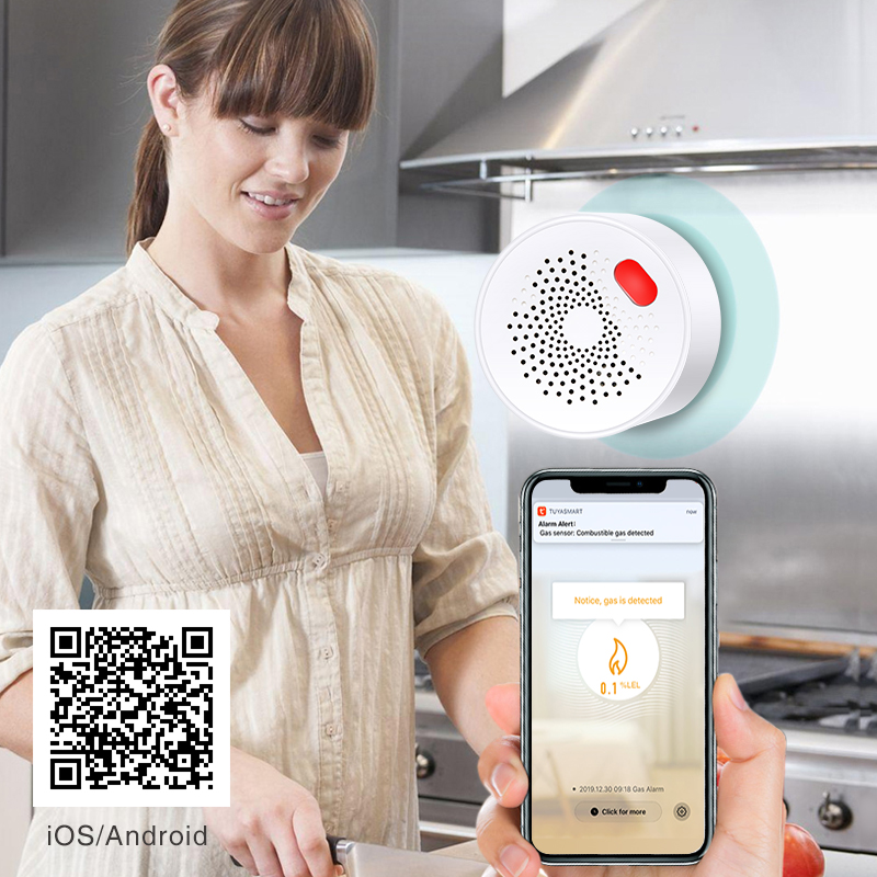 Tuya Smart Home Wifi Natural G - Home Security Tools 评论和价格